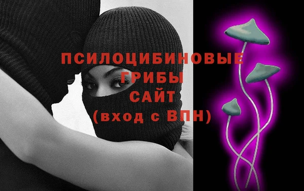 стафф Гусь-Хрустальный